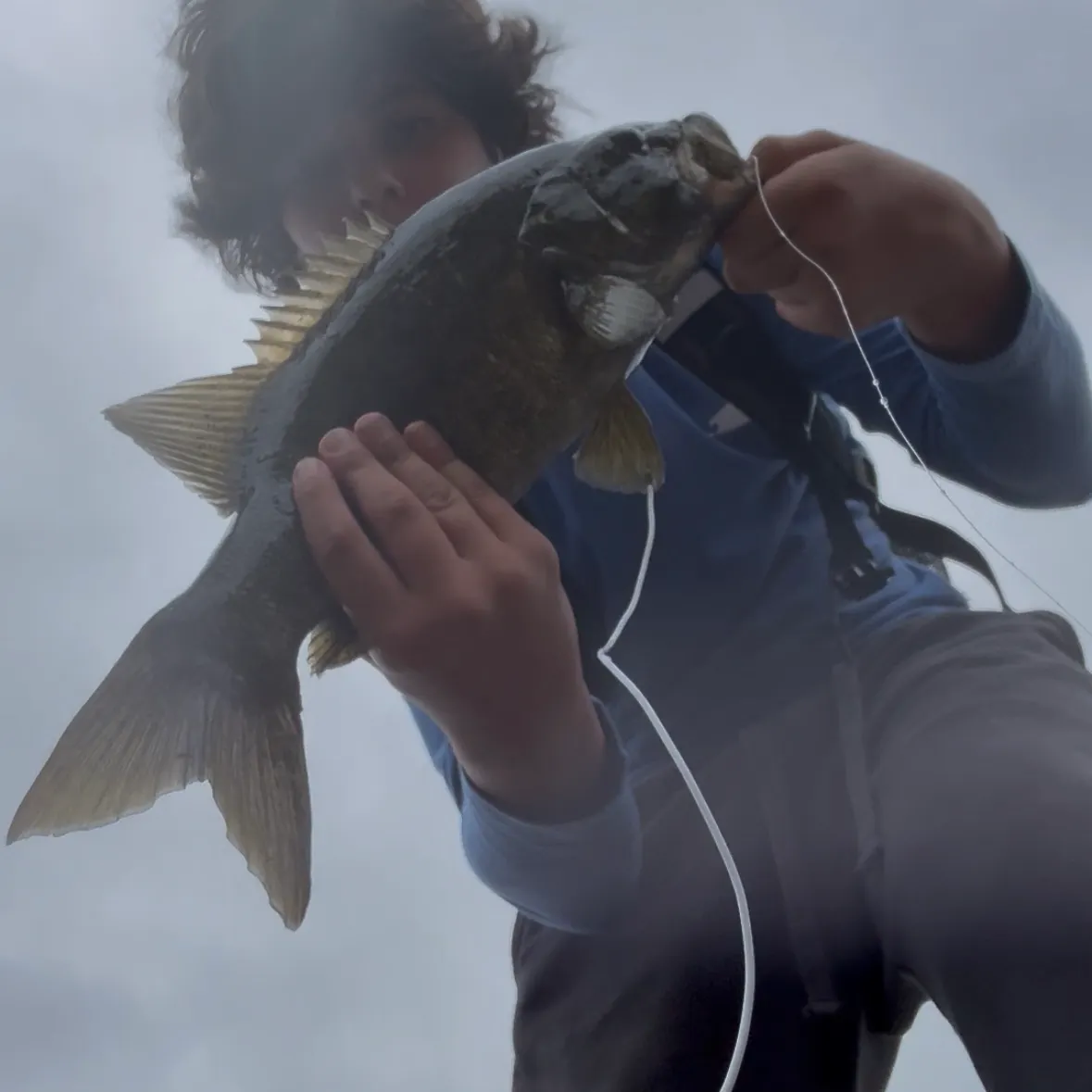 Smallmouth bass caught on Fishbrain