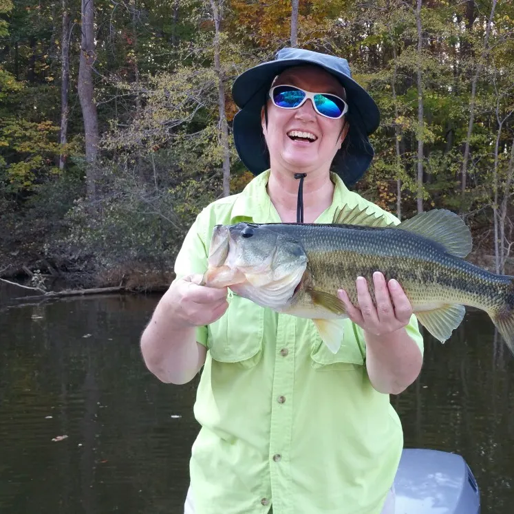 Largemouth bass caught on Fishbrain