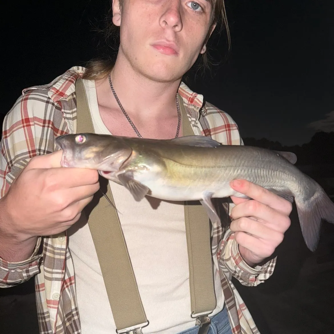 Channel catfish caught on Fishbrain