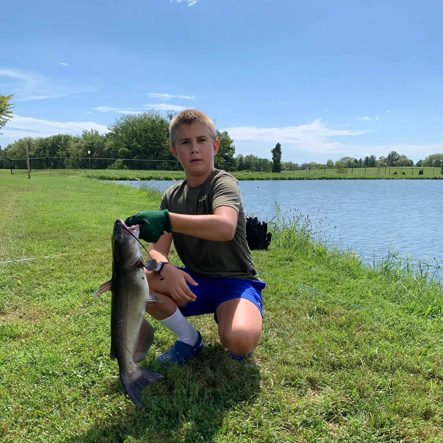 Channel catfish caught on Fishbrain