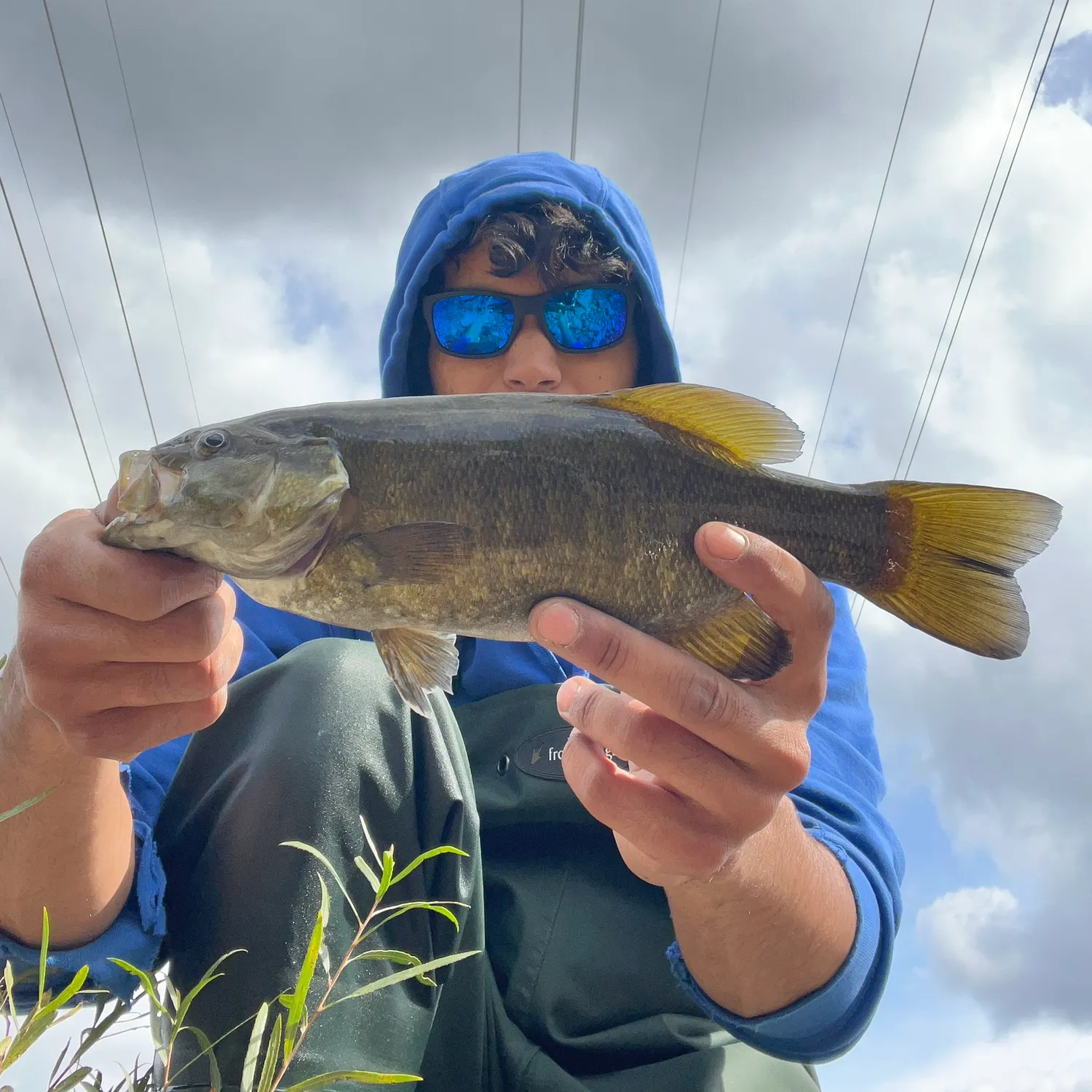 Smallmouth bass caught on Fishbrain