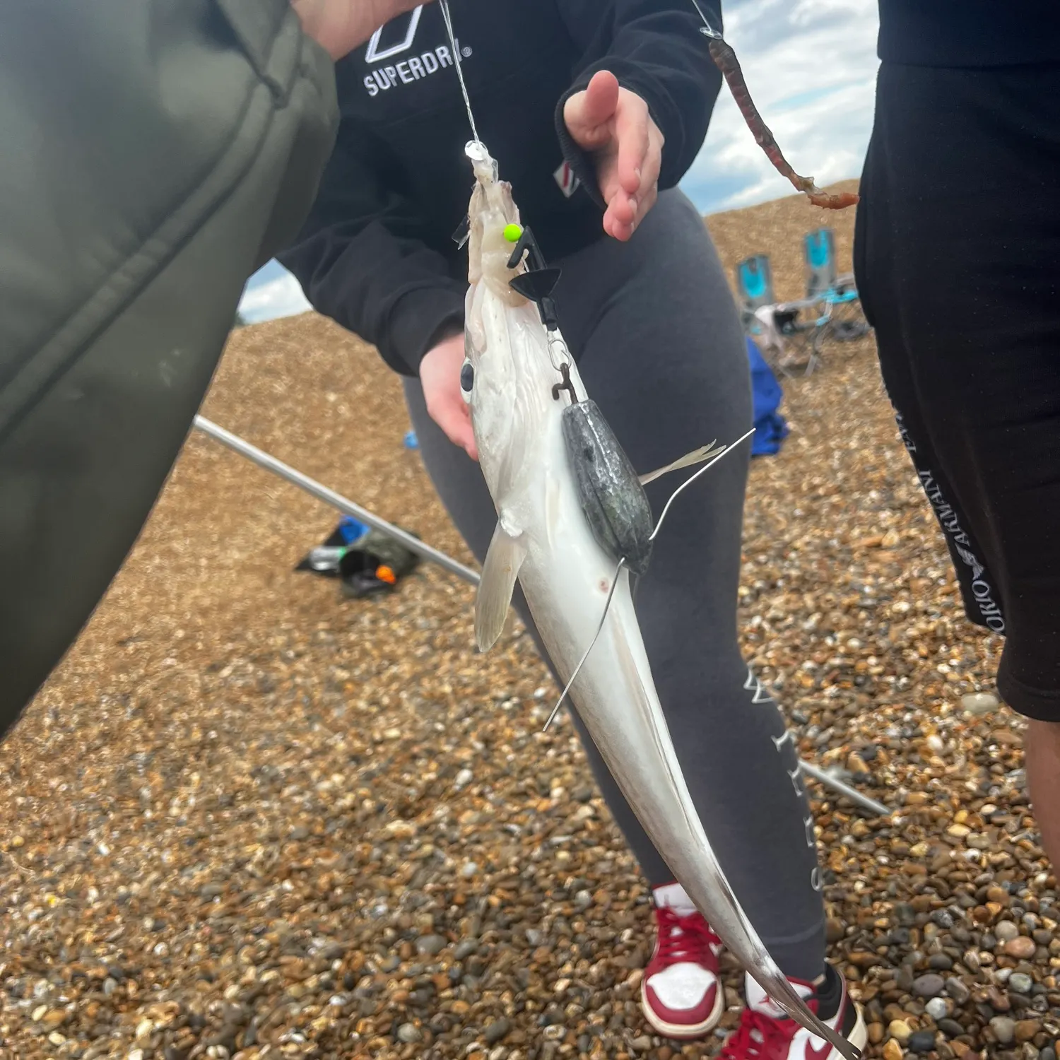 The most recent Whiting catches on Fishbrain
