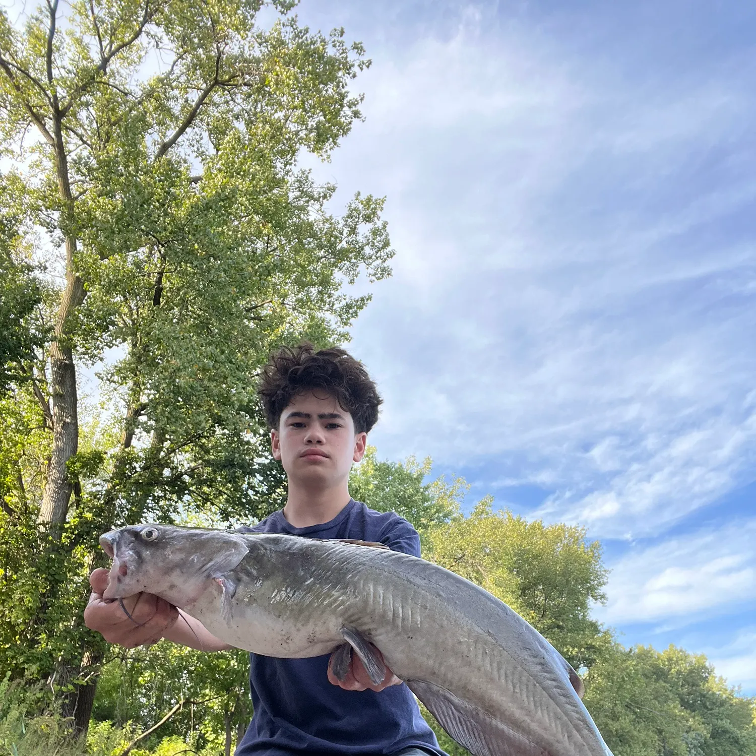 Channel catfish caught on Fishbrain