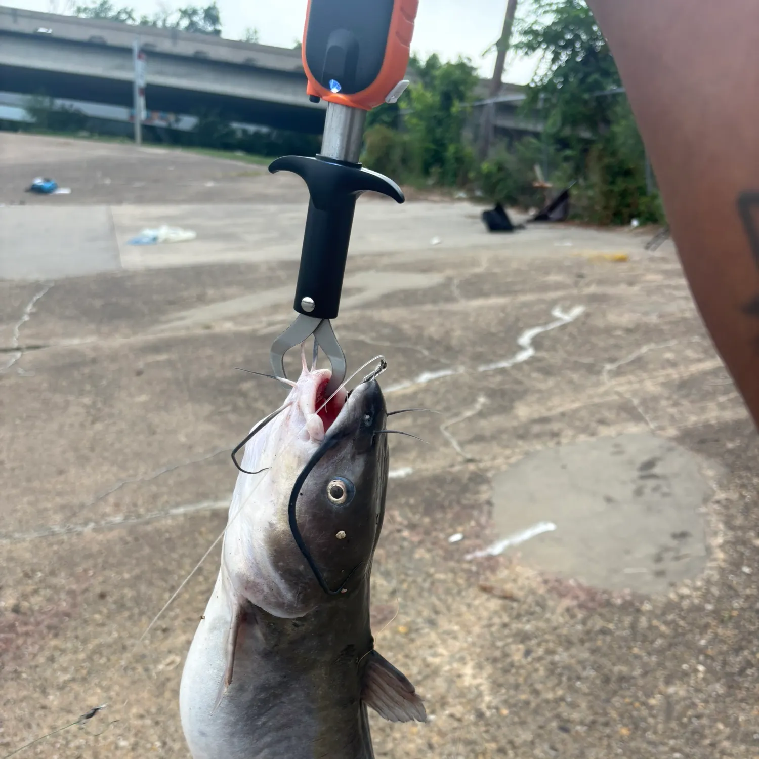 catch