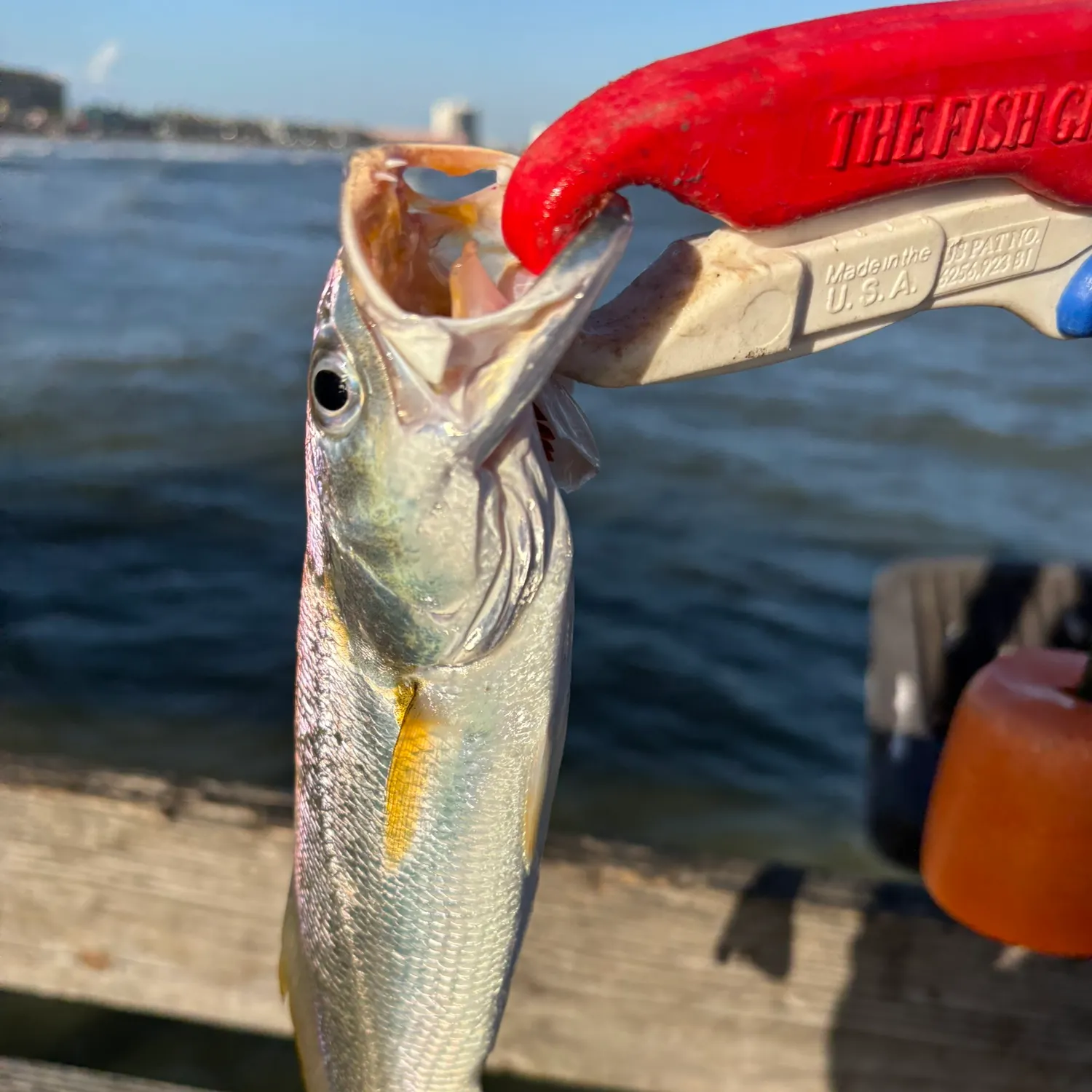 catch