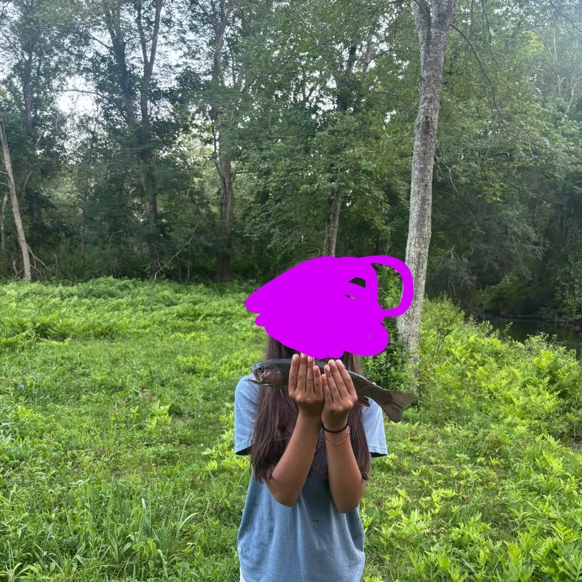 Rainbow trout caught on Fishbrain