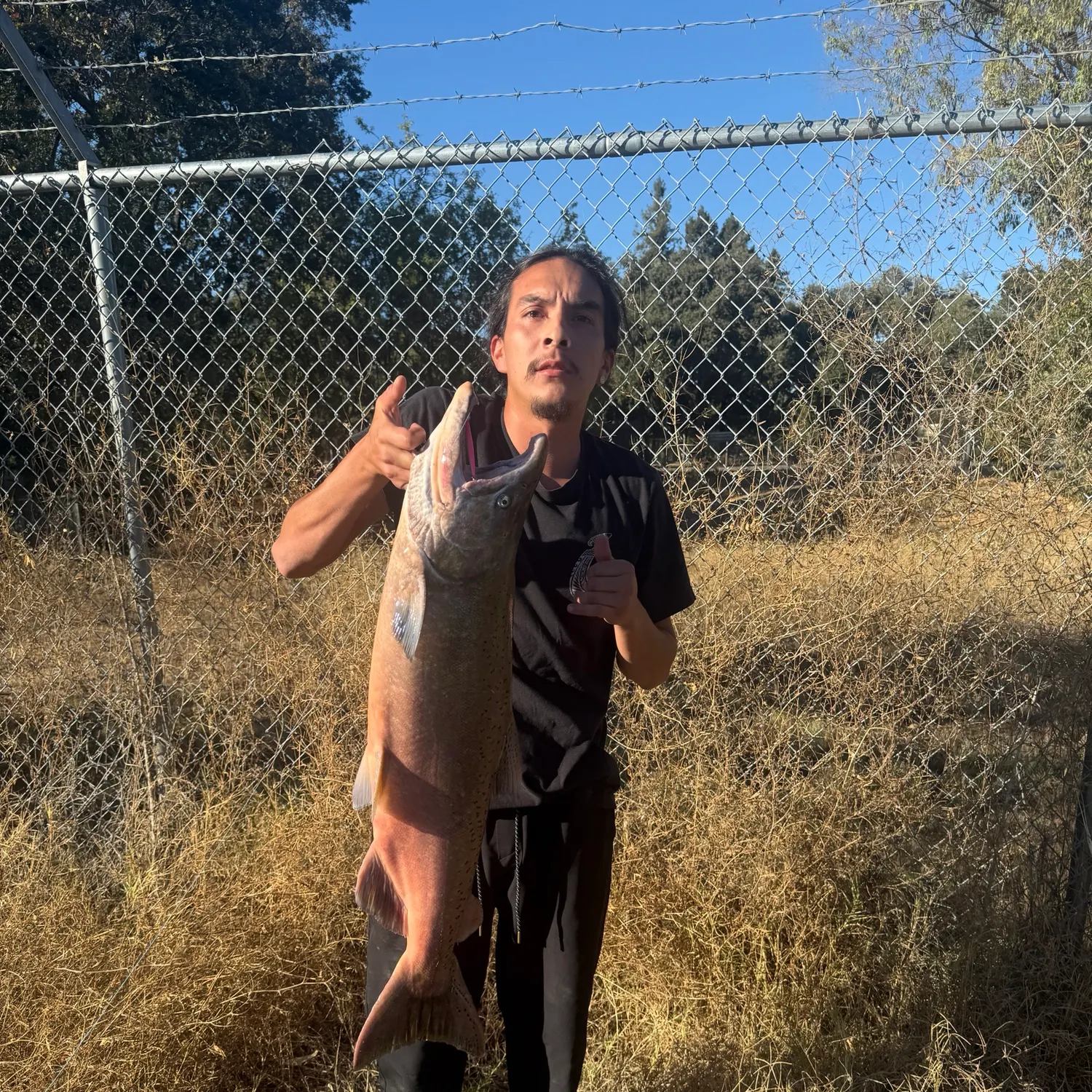 Coho salmon caught on Fishbrain