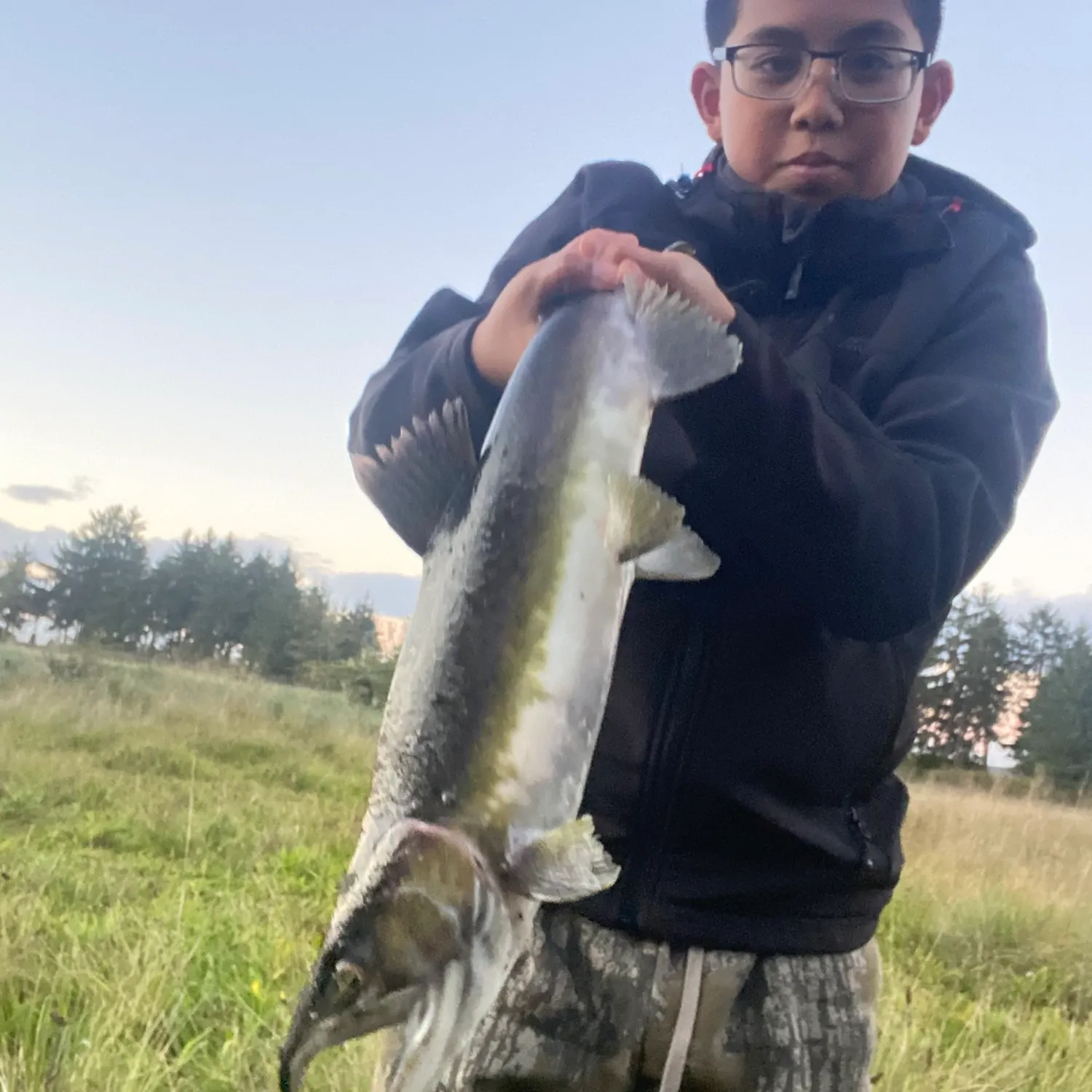 The most recent Pink salmon catches on Fishbrain