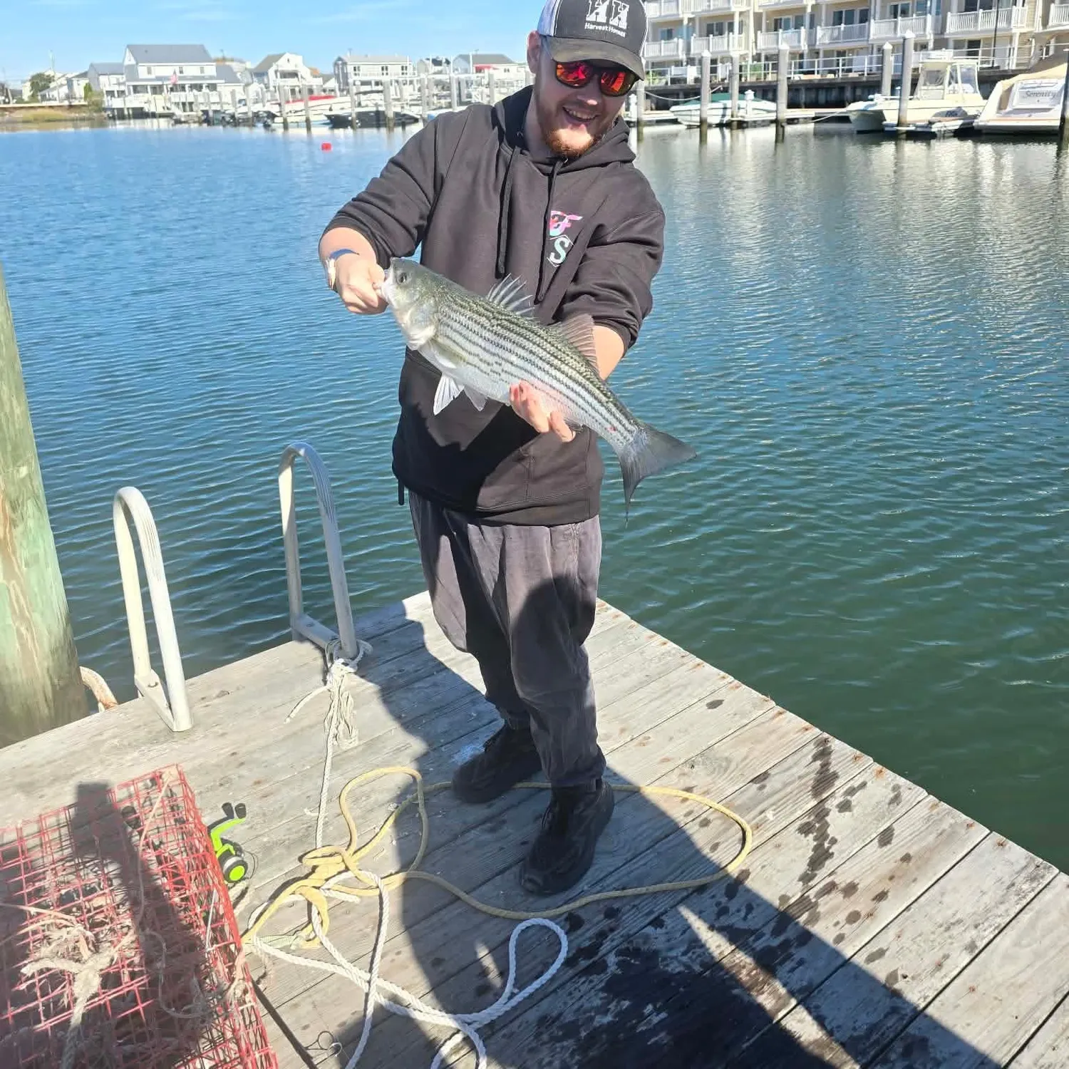 Striped bass caught on Fishbrain