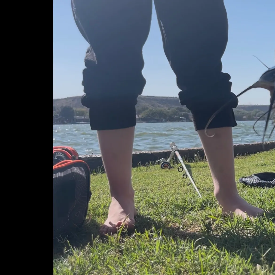 Channel catfish caught on Fishbrain