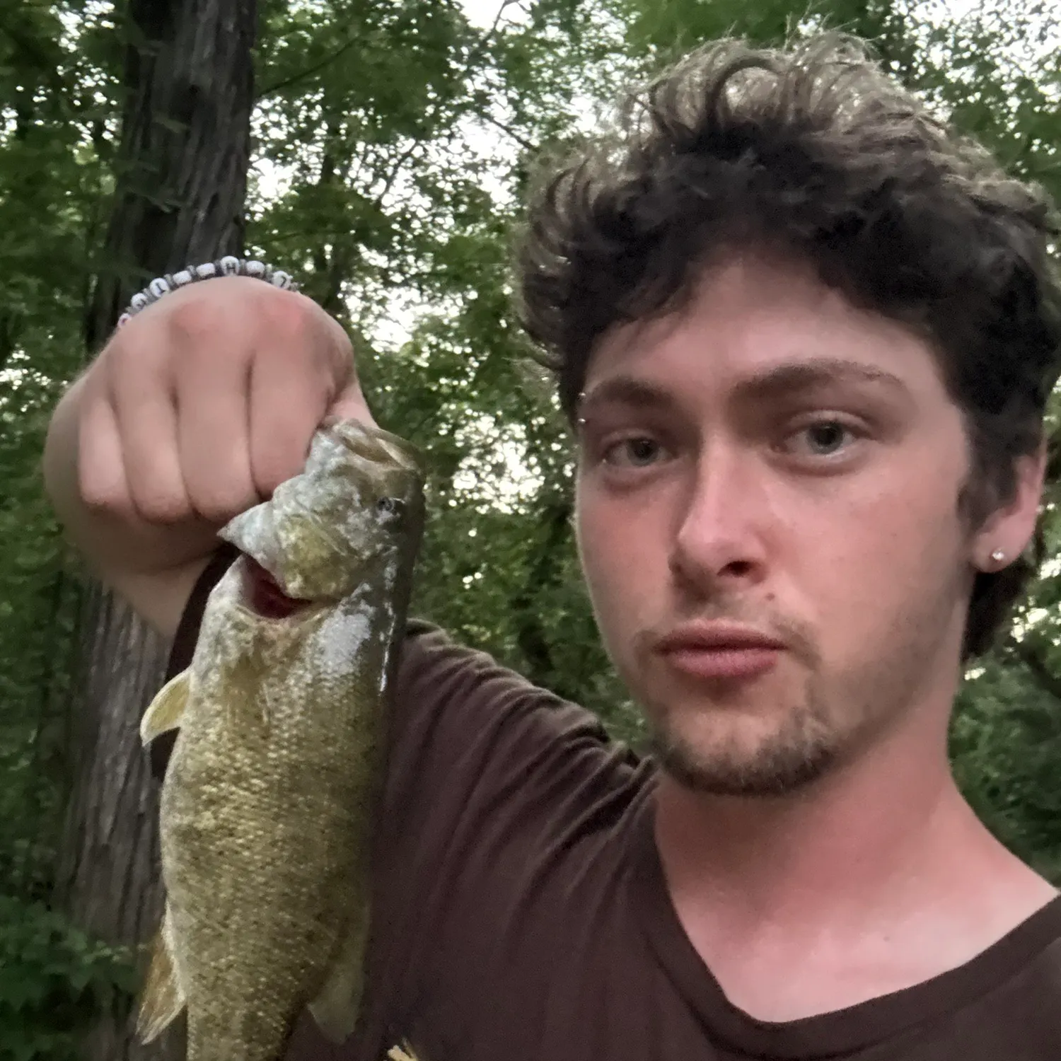Smallmouth bass caught on Fishbrain