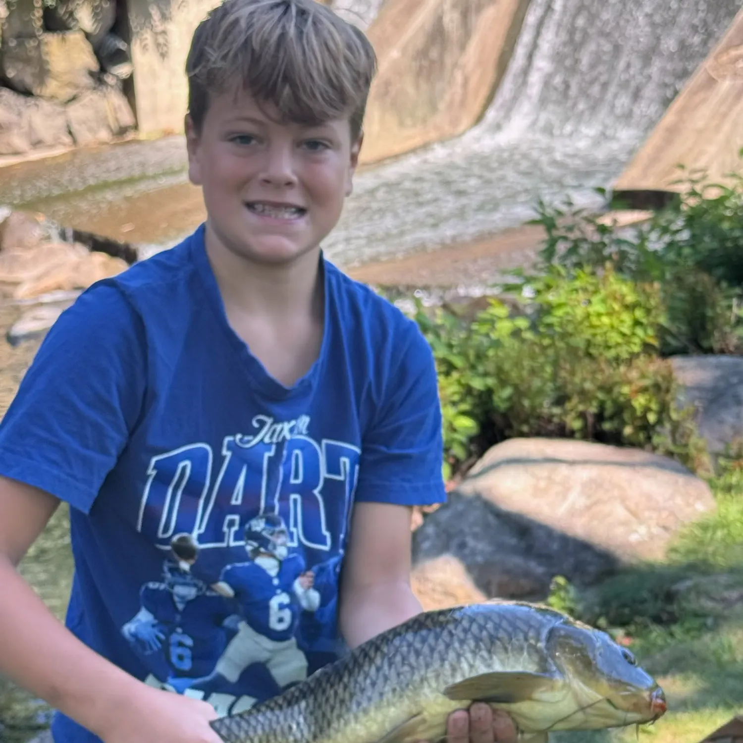 Common carp caught on Fishbrain