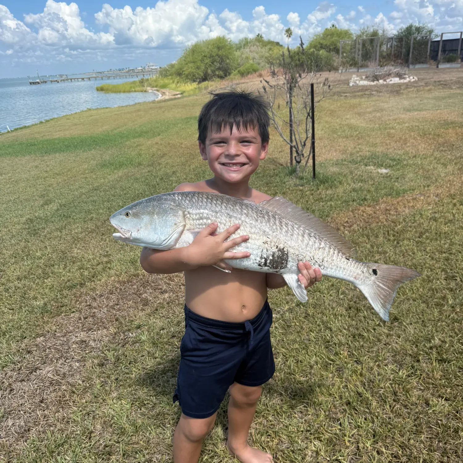 Red drum caught on Fishbrain