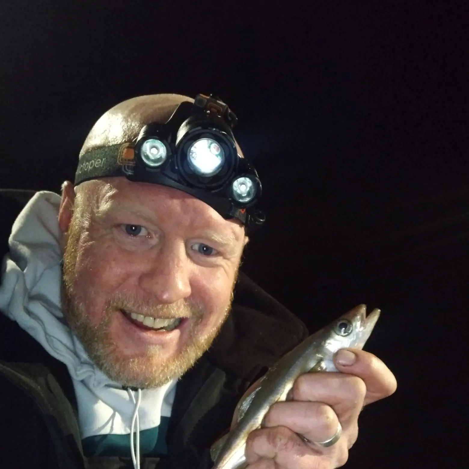 The most recent Pollack catches on Fishbrain