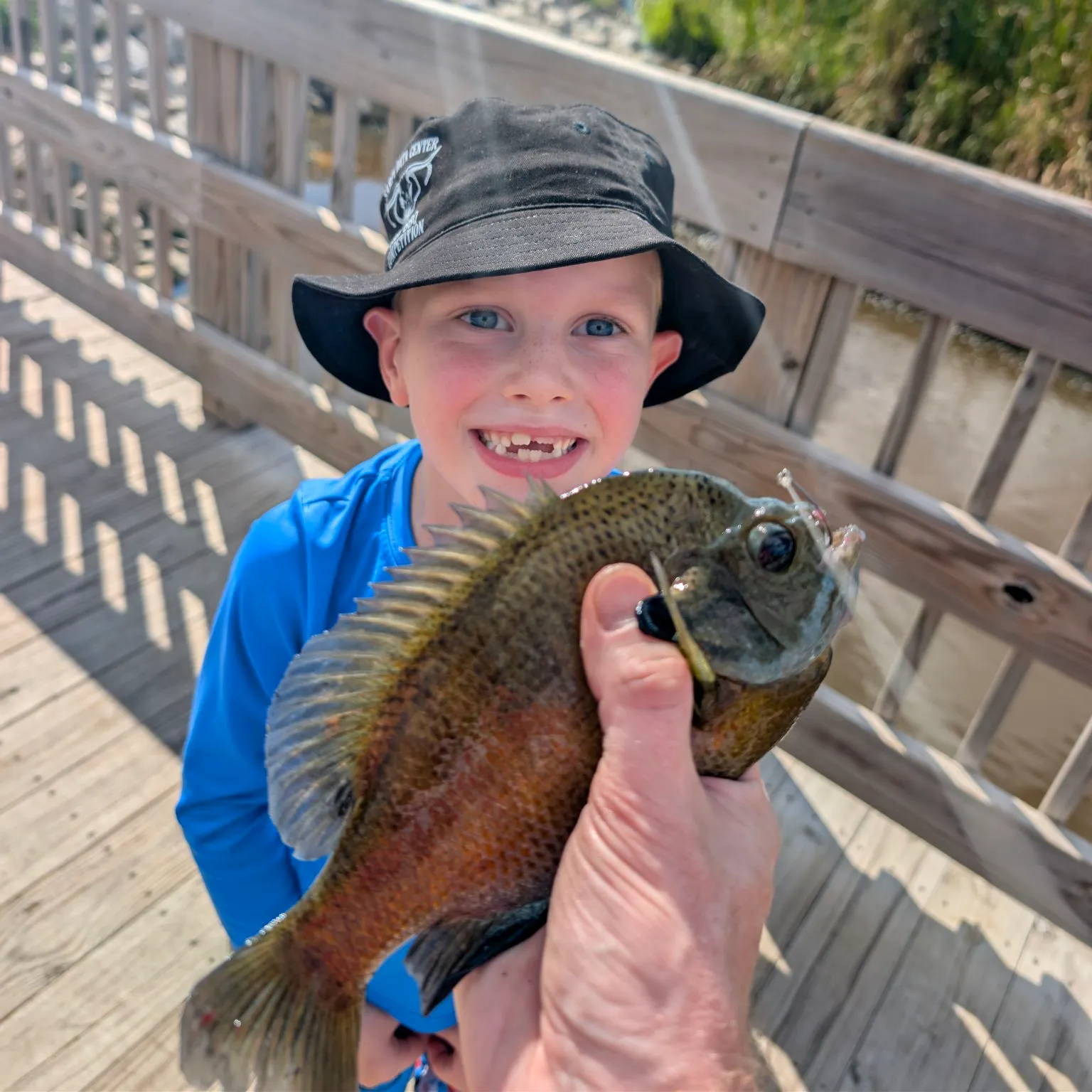 Bluegill caught on Fishbrain