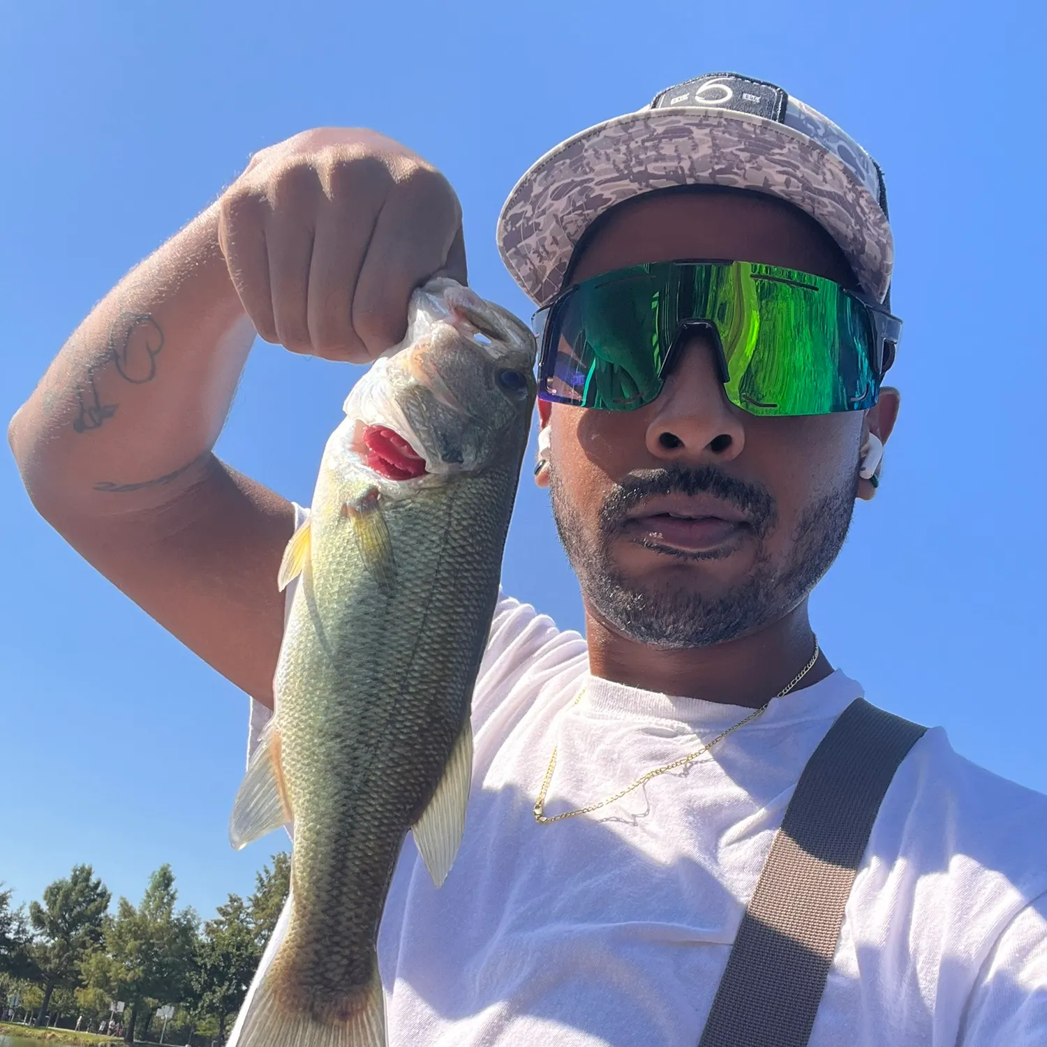 Largemouth bass caught on Fishbrain