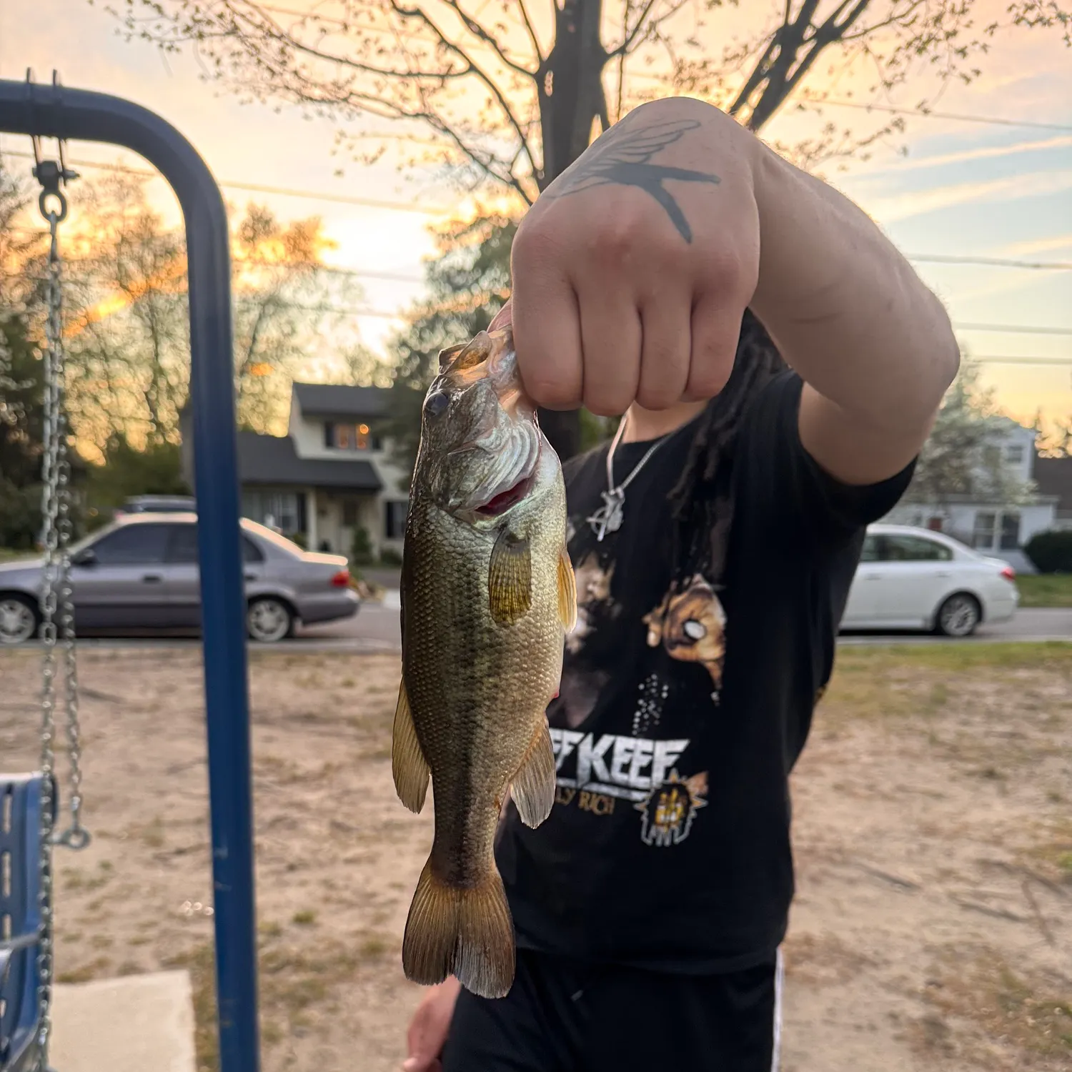 recently logged catches