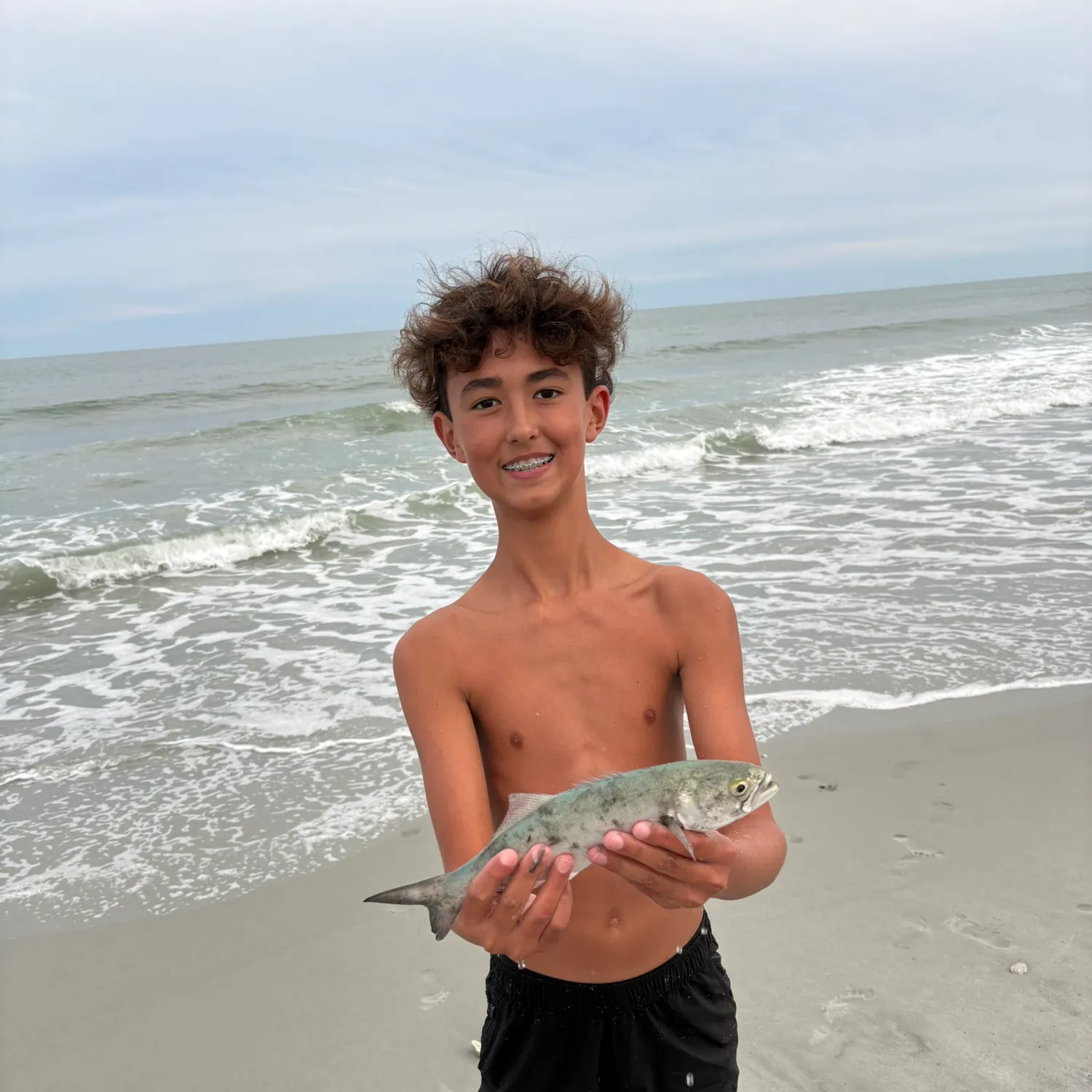 Bluefish caught on Fishbrain