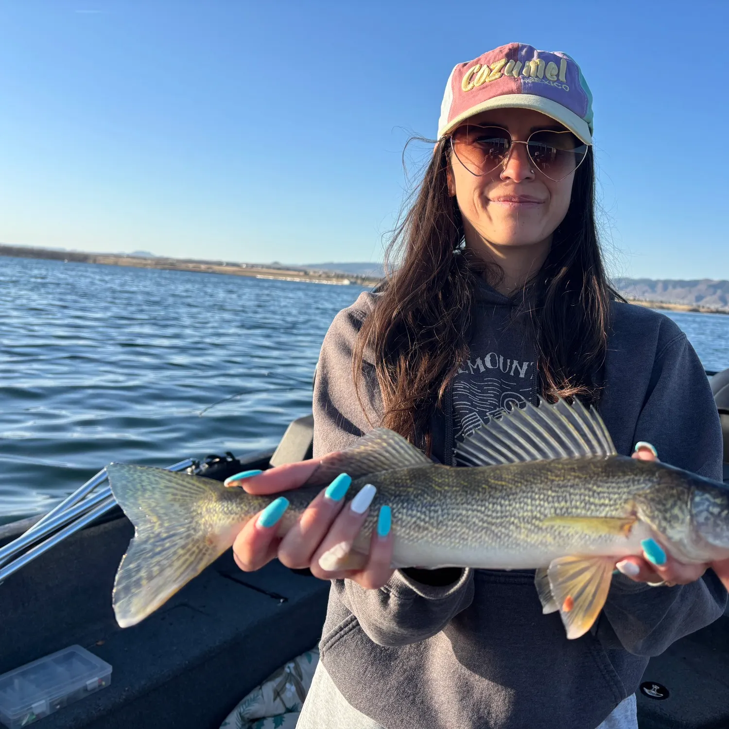 The most recent Walleye catches on Fishbrain