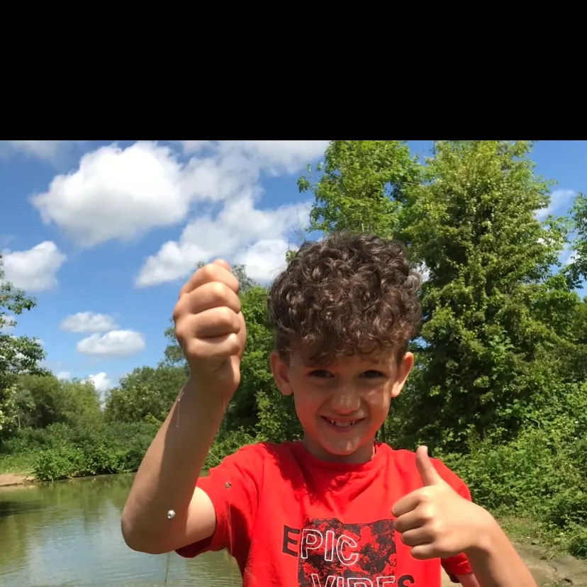 most liked catch image