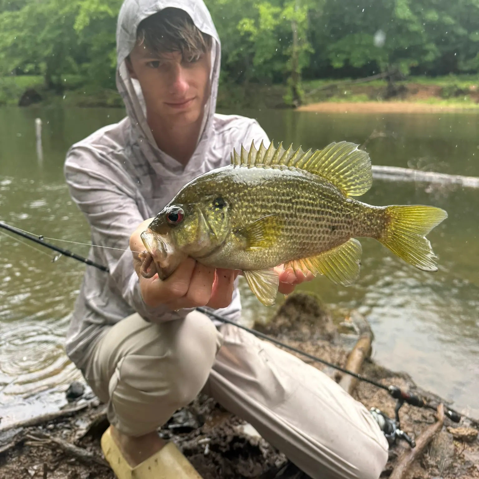 The most recent Roanoke bass catches on Fishbrain