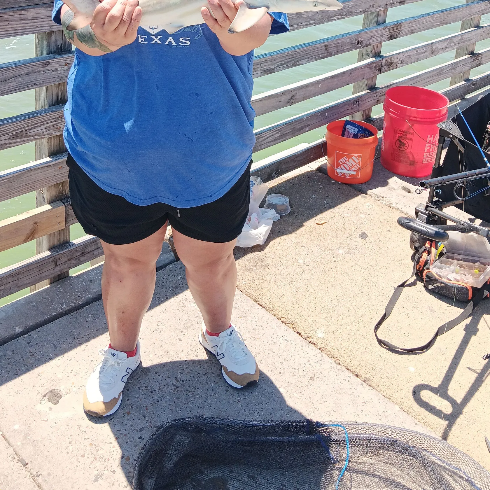 The most recent Blacktip shark catches on Fishbrain