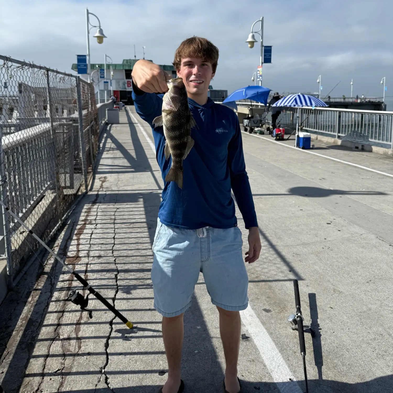 Spotted sand bass caught on Fishbrain