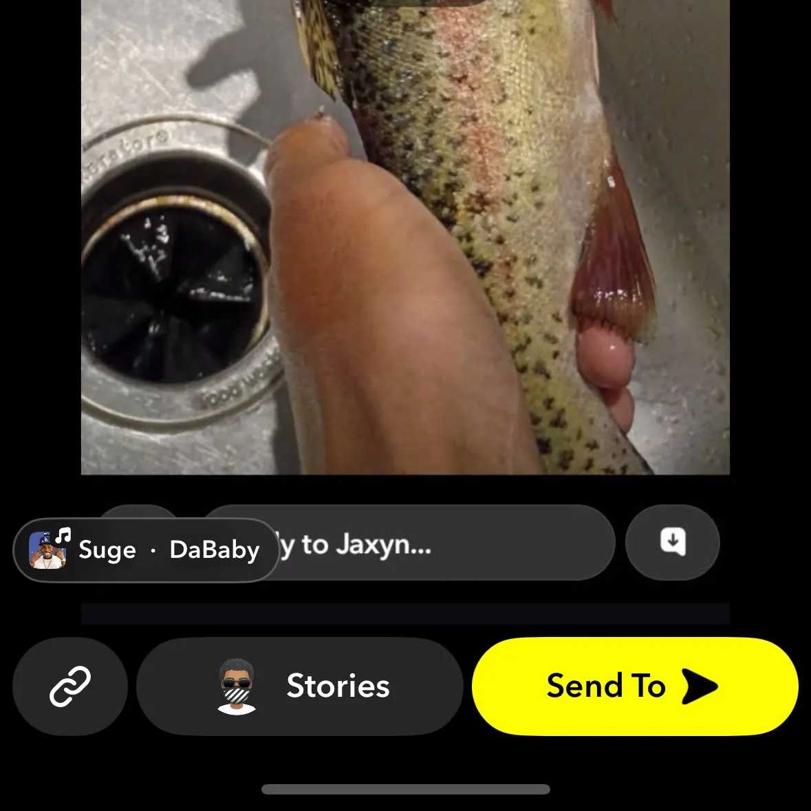 Rainbow trout caught on Fishbrain