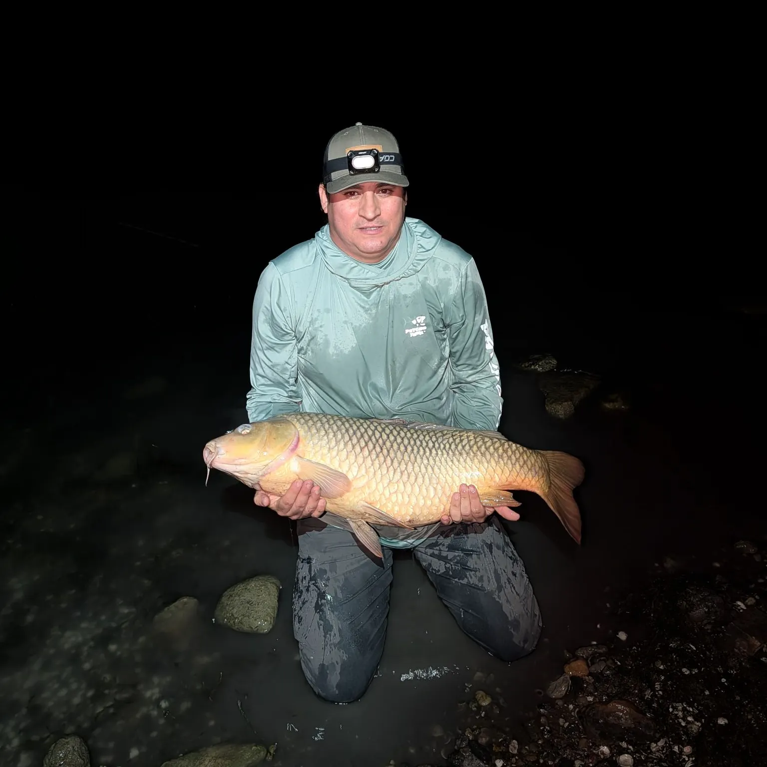 Common carp caught on Fishbrain