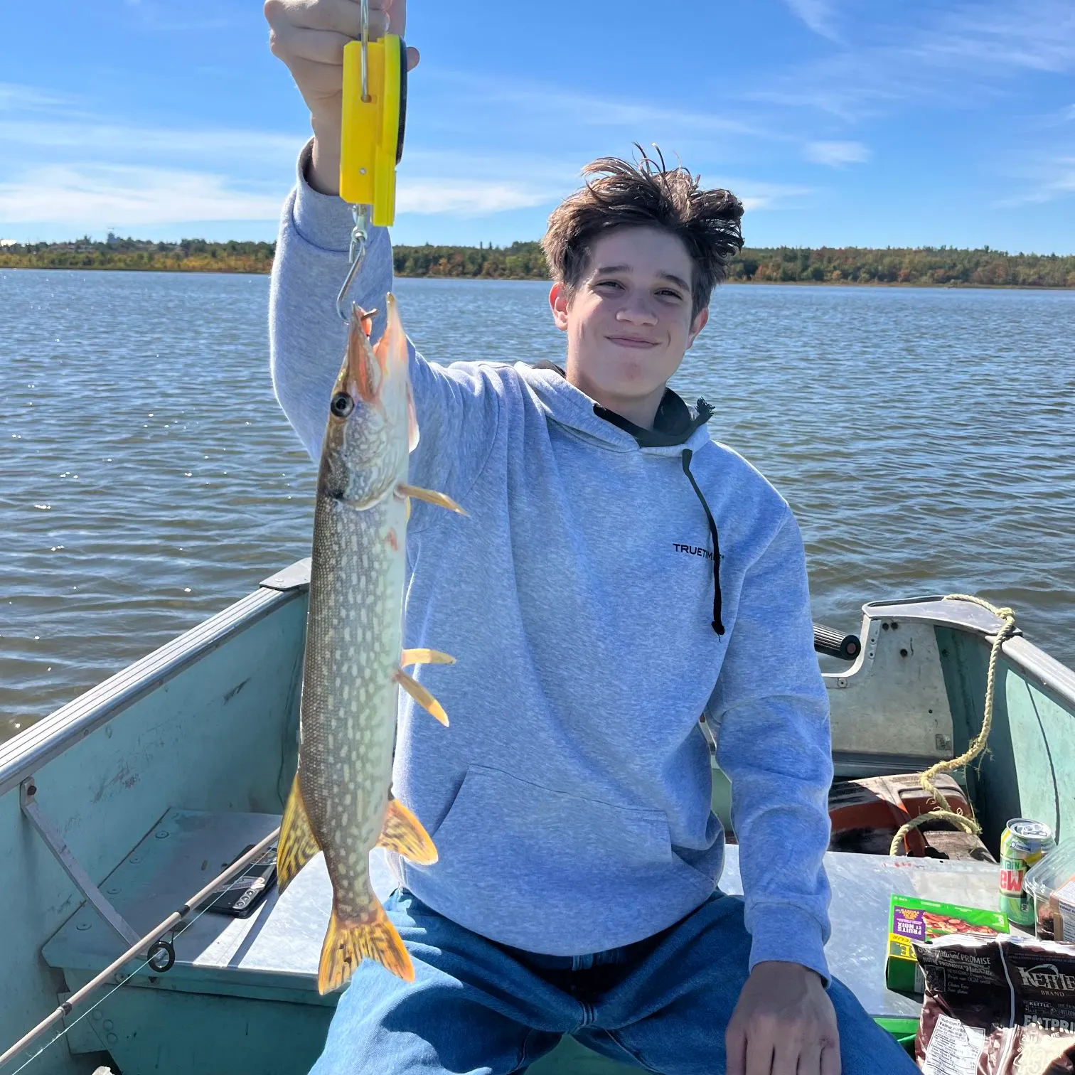 Northern pike caught on Fishbrain