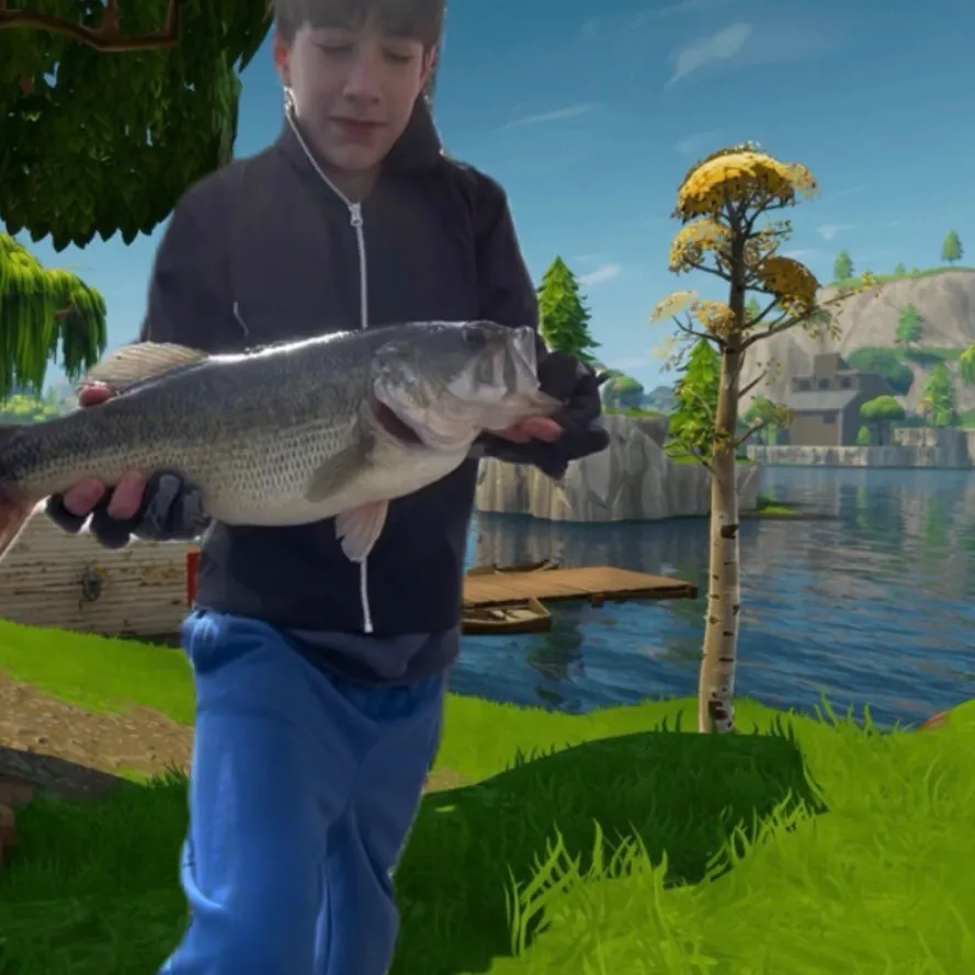 Largemouth bass caught on Fishbrain