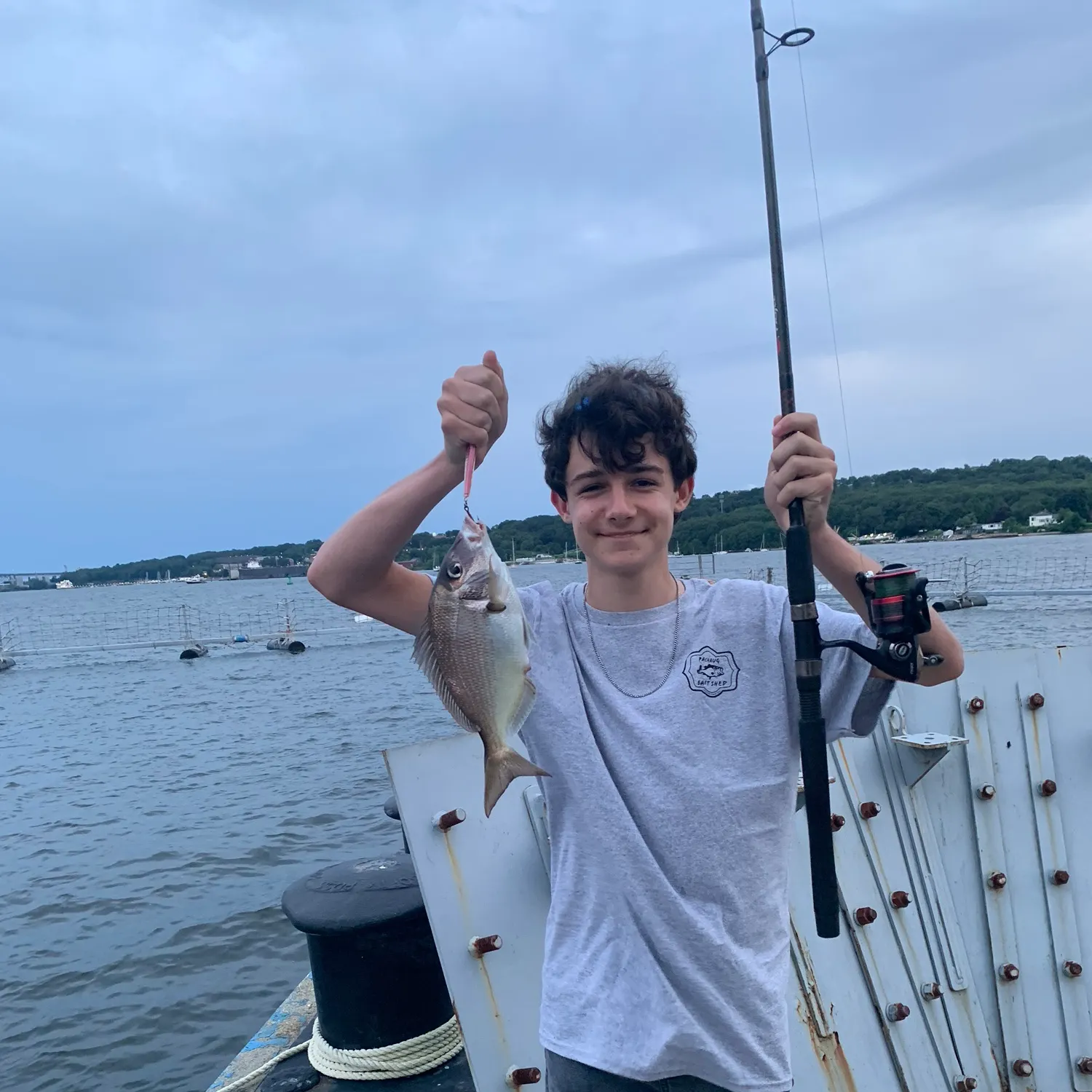 The most recent Scup catches on Fishbrain