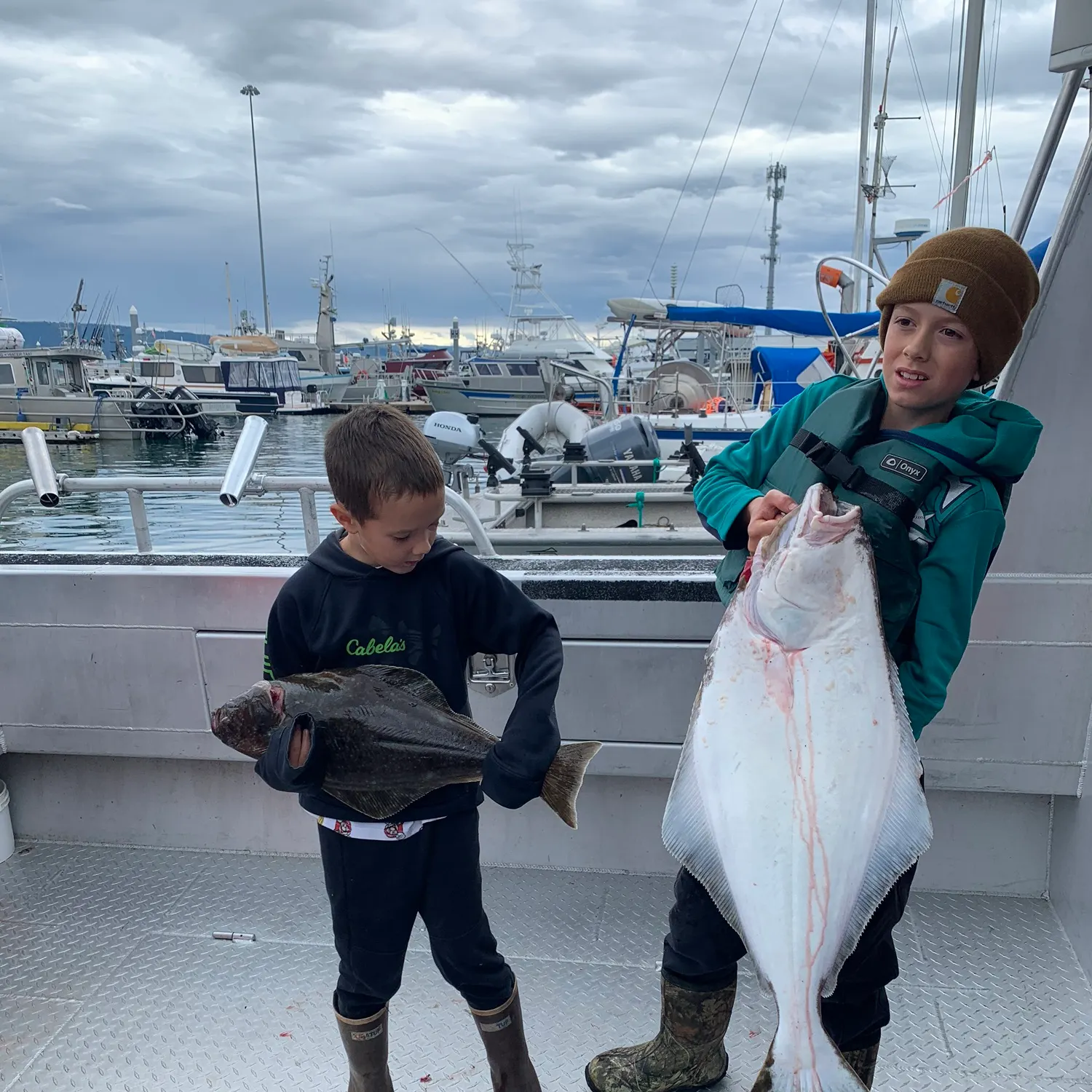 The most recent Pacific halibut catches on Fishbrain