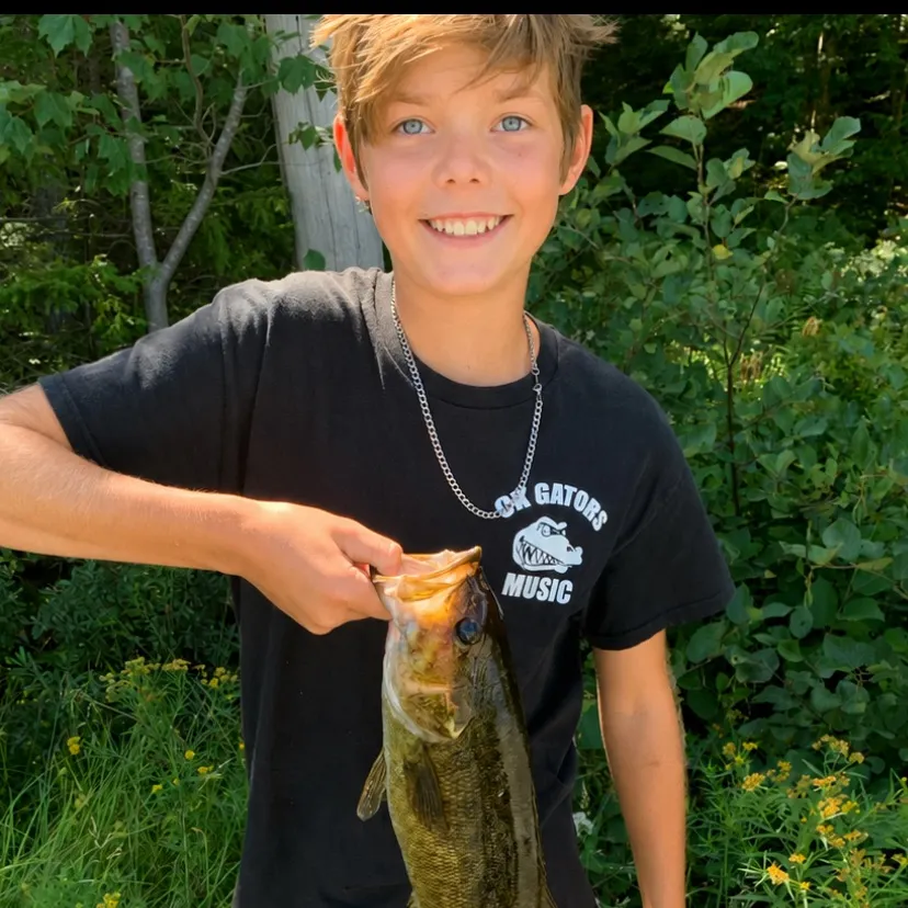 Smallmouth bass caught on Fishbrain