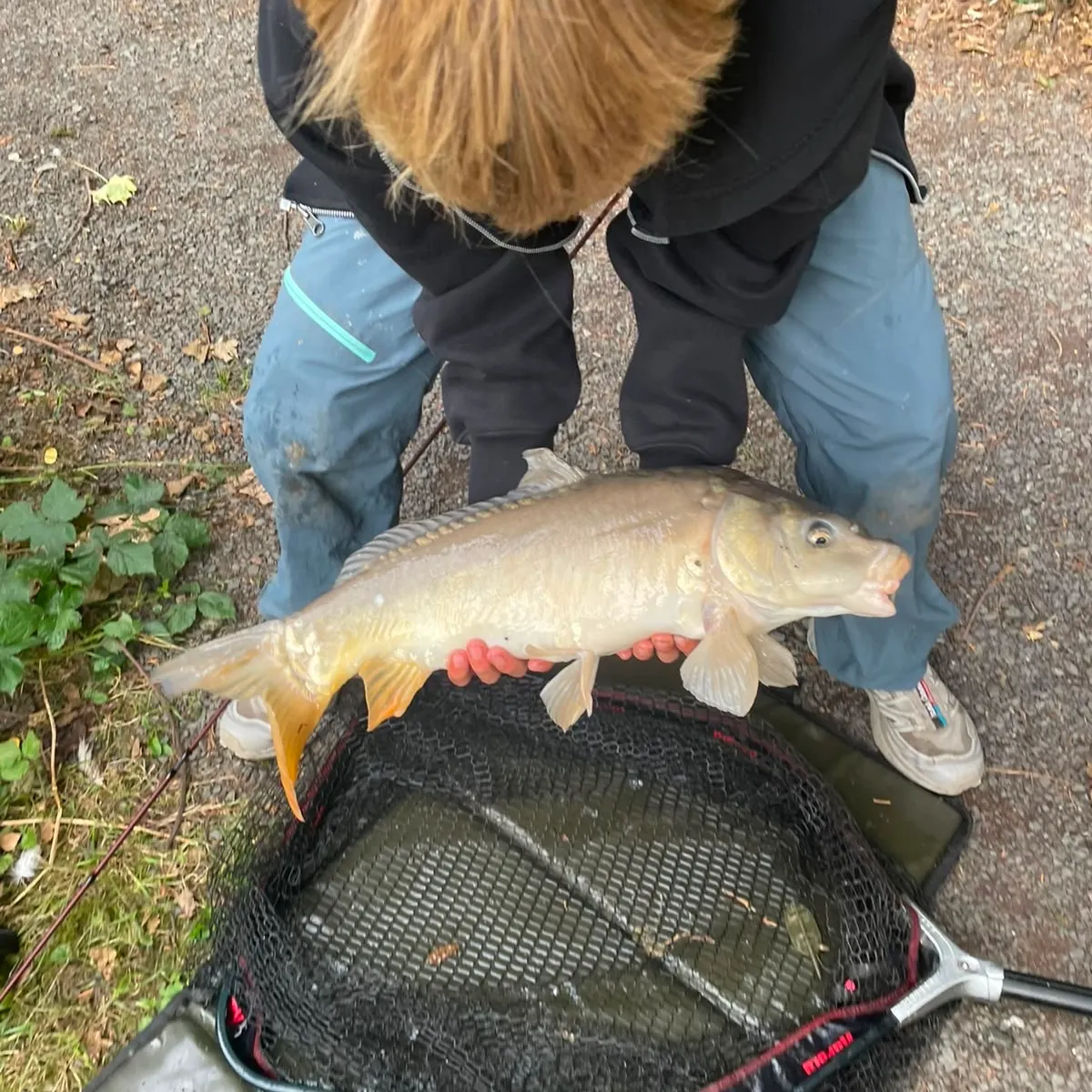 Ghost carp caught on Fishbrain