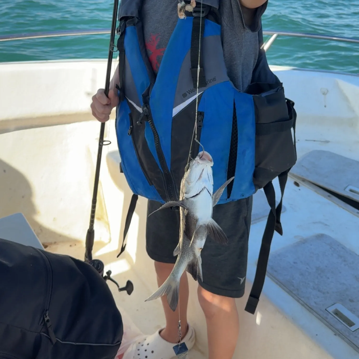 The most recent White margate catches on Fishbrain