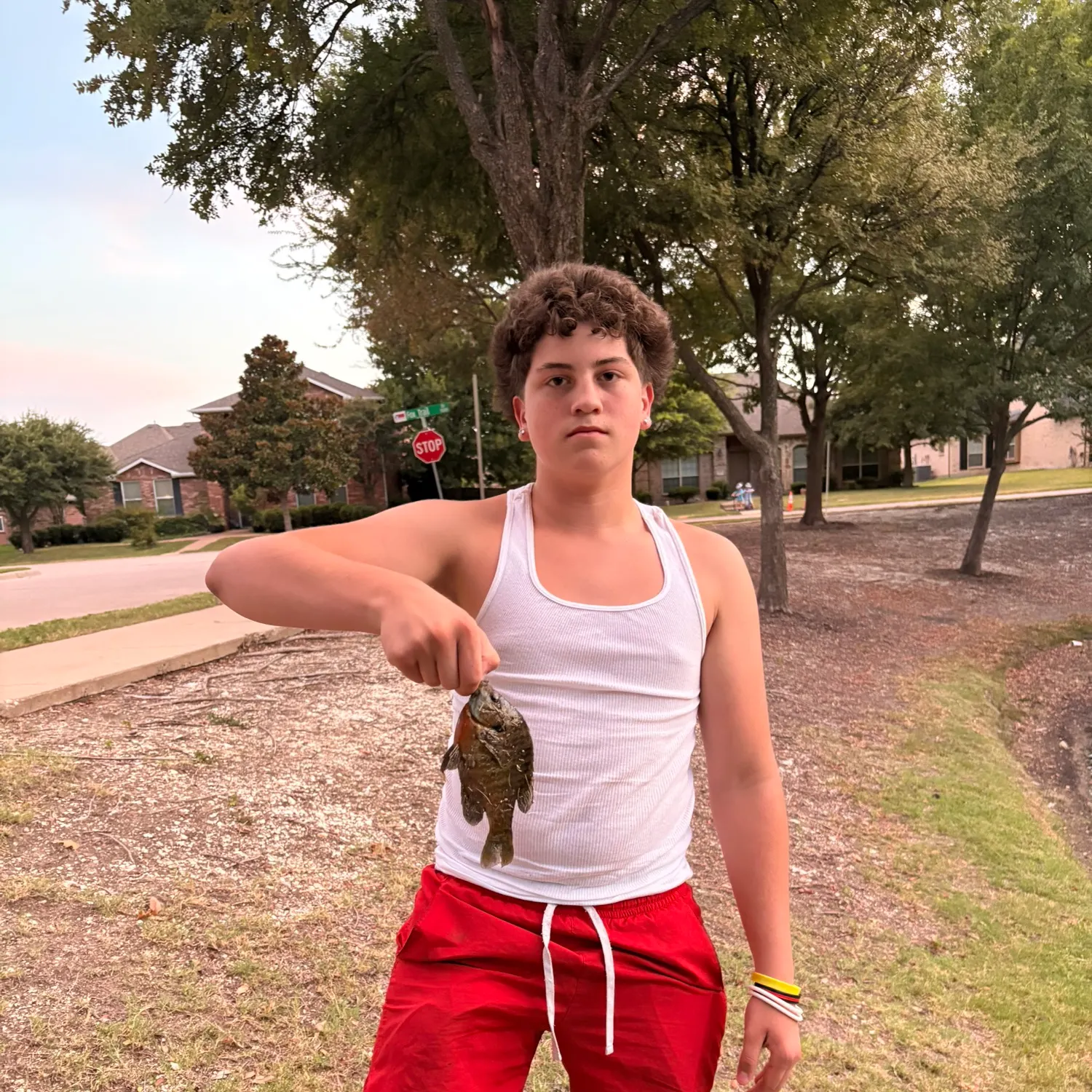 Bluegill caught on Fishbrain