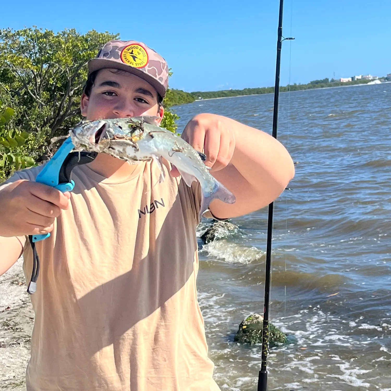 The most recent Gafftopsail sea catfish catches on Fishbrain