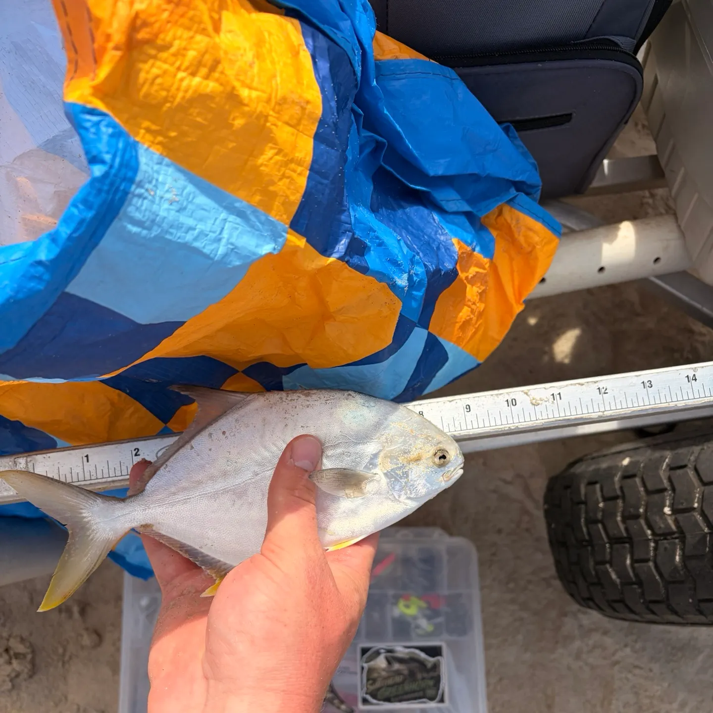 Florida pompano caught on Fishbrain