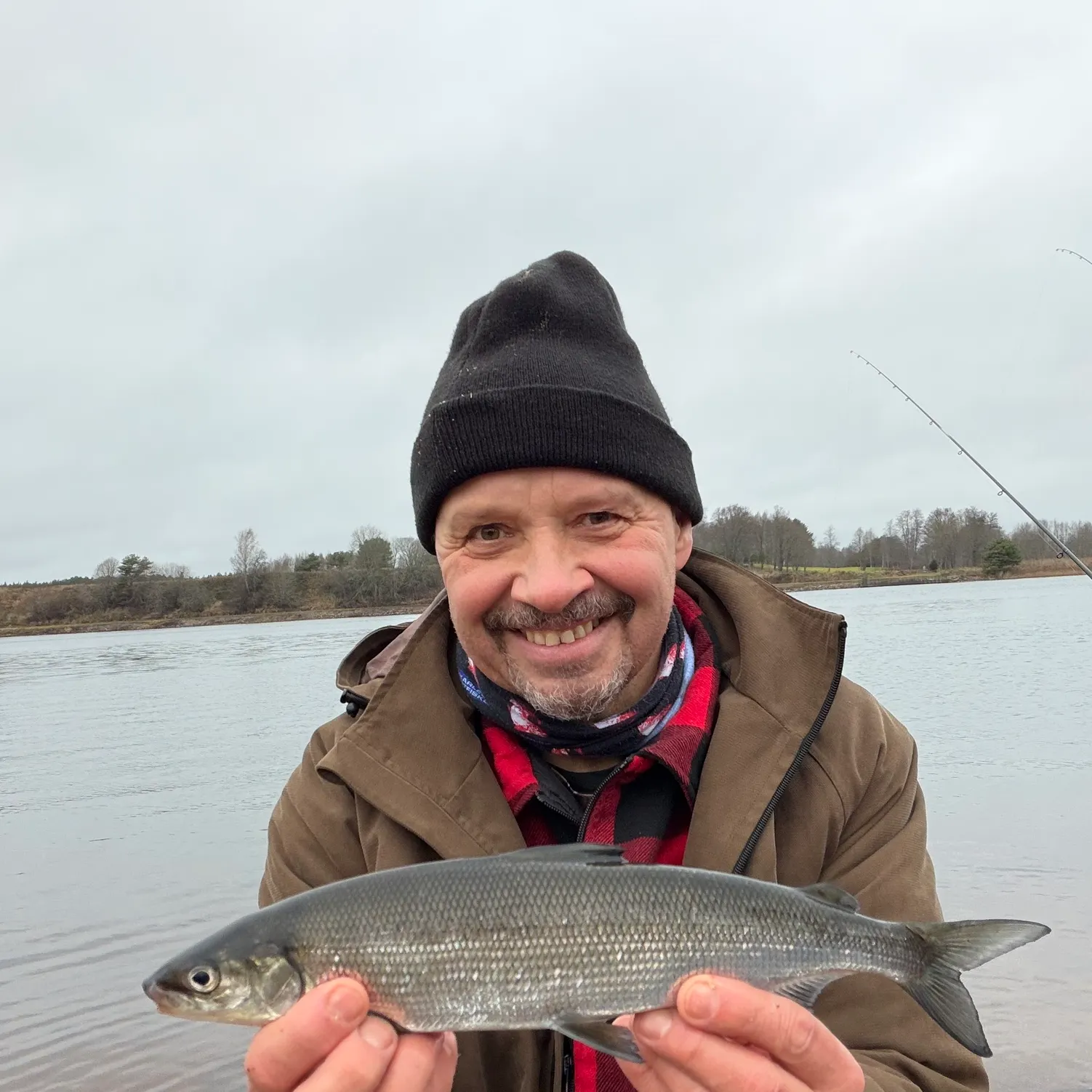 The most recent Lake whitefish catches on Fishbrain