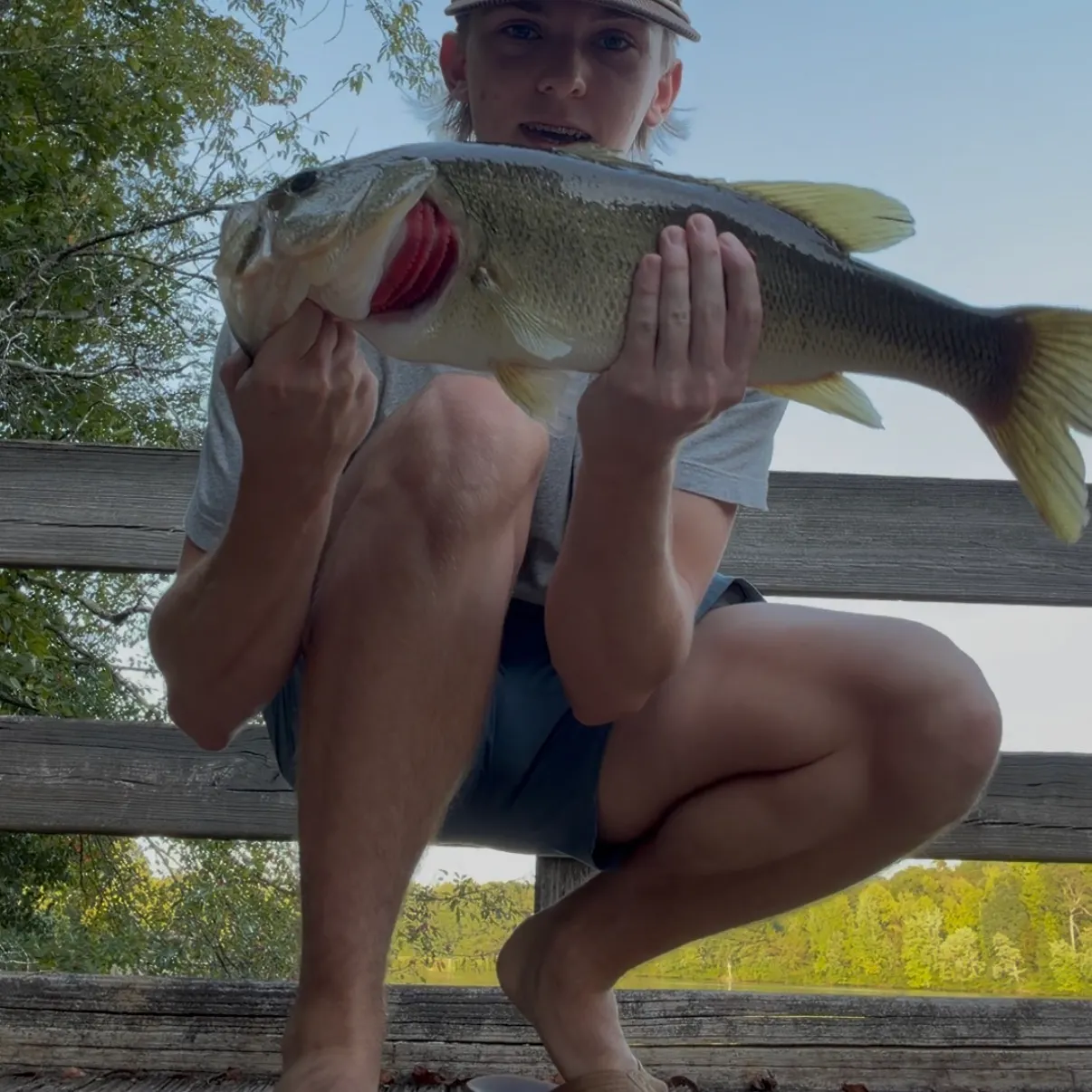 Largemouth bass caught on Fishbrain