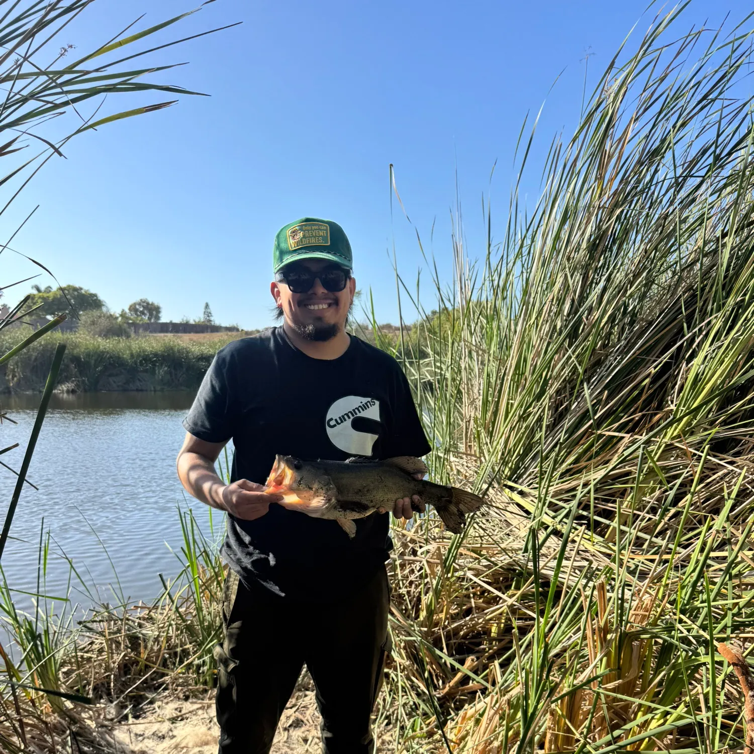 Largemouth bass caught on Fishbrain