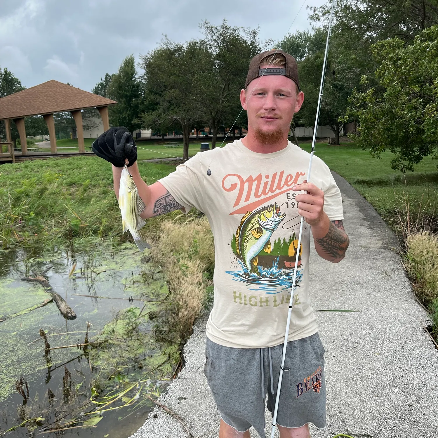 Striped bass caught on Fishbrain