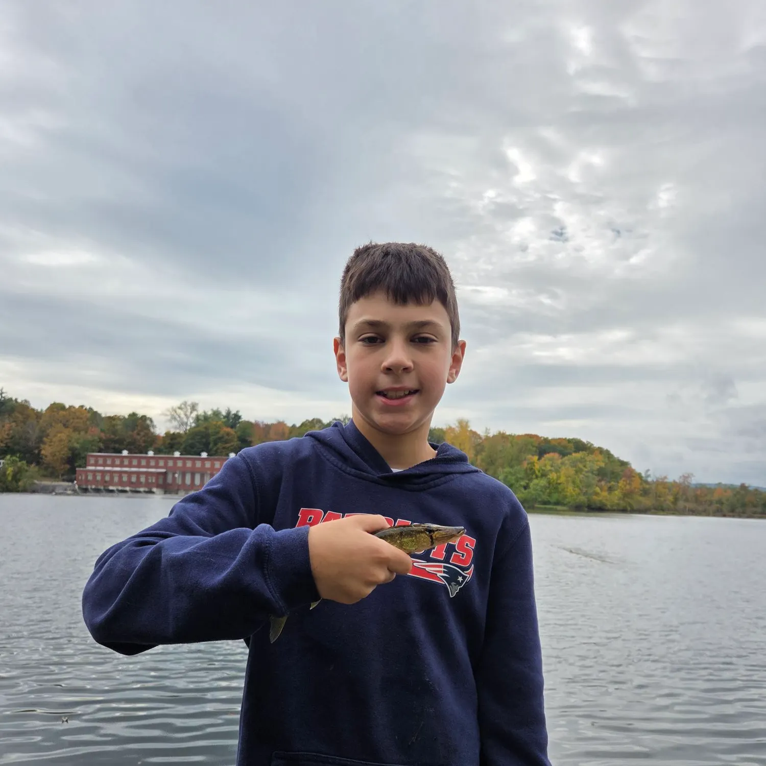 Chain pickerel caught on Fishbrain