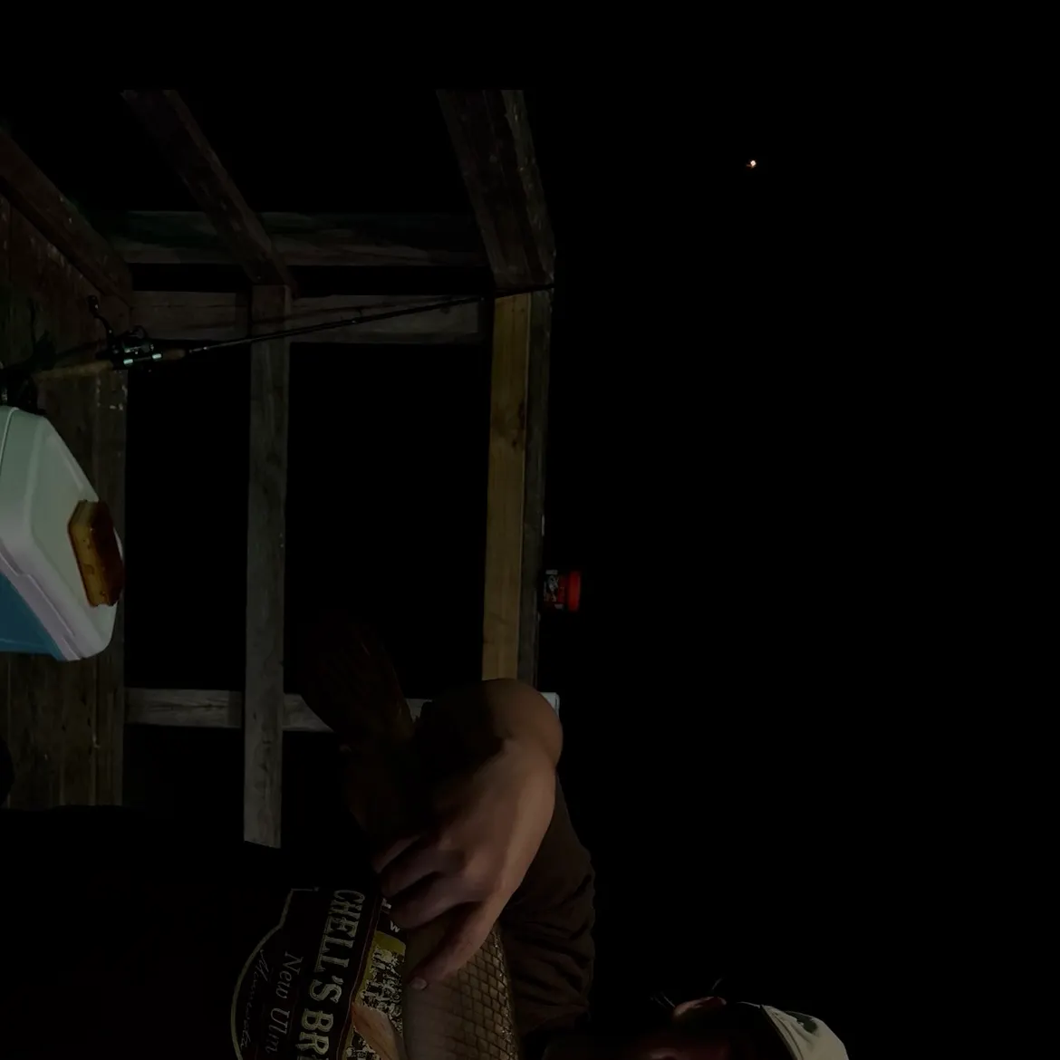Spotted gar caught on Fishbrain