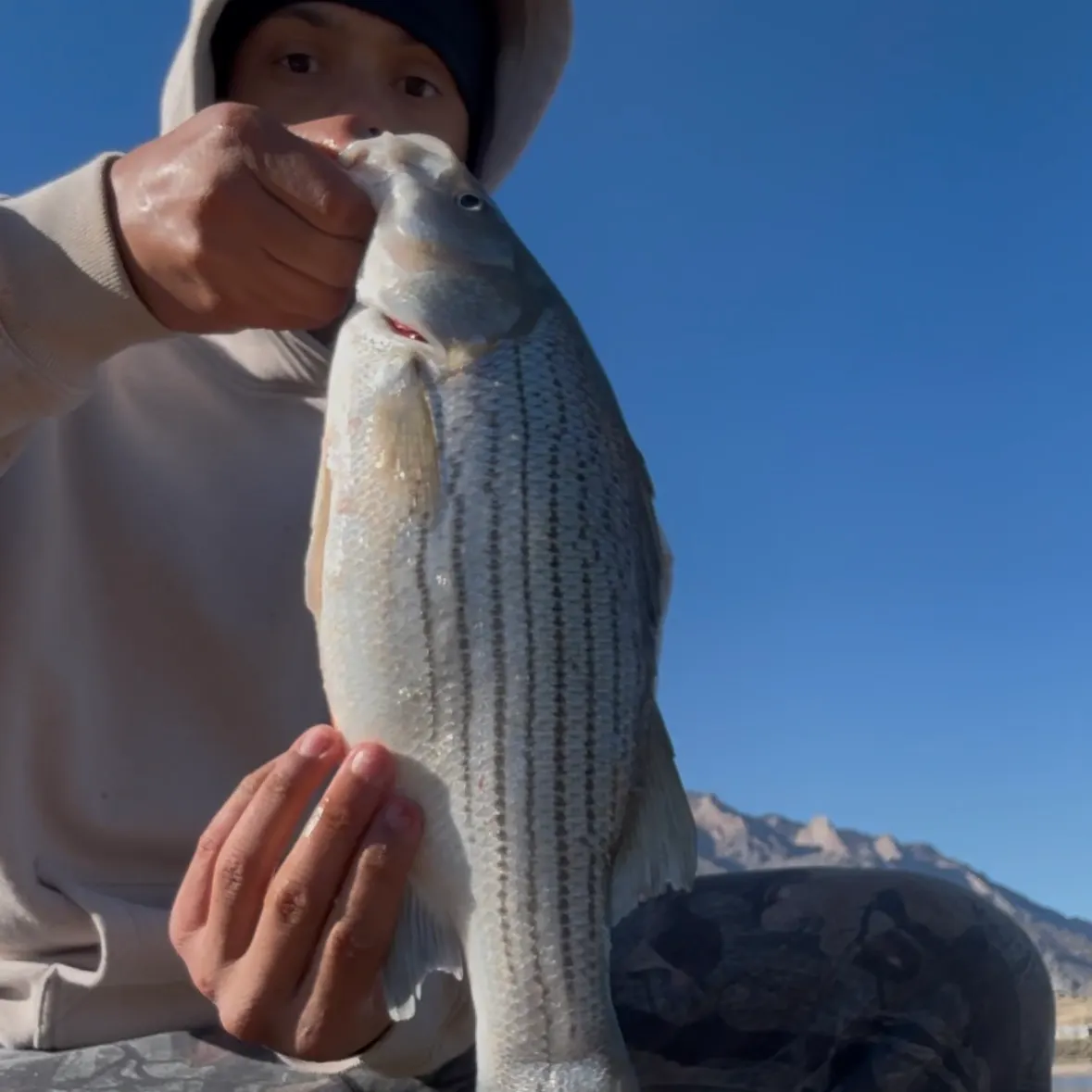 Wiper caught on Fishbrain