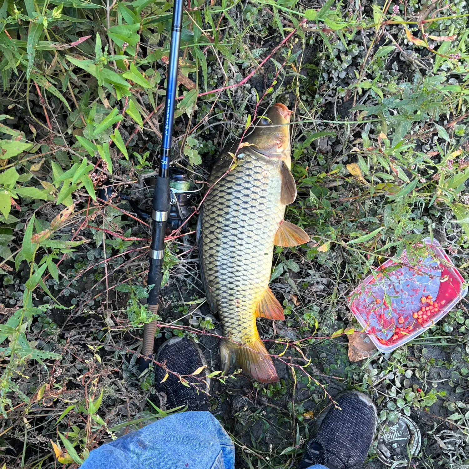 catch