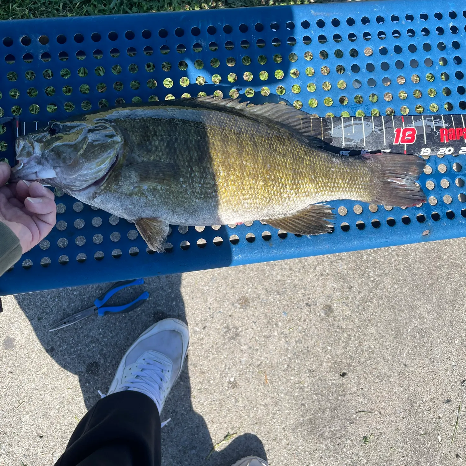 catch