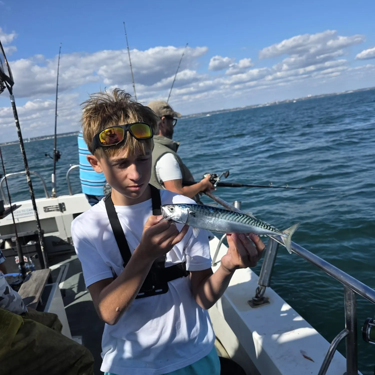 Atlantic mackerel caught on Fishbrain