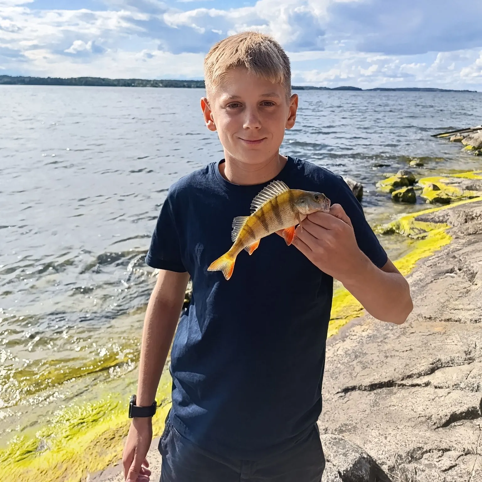 European perch caught on Fishbrain